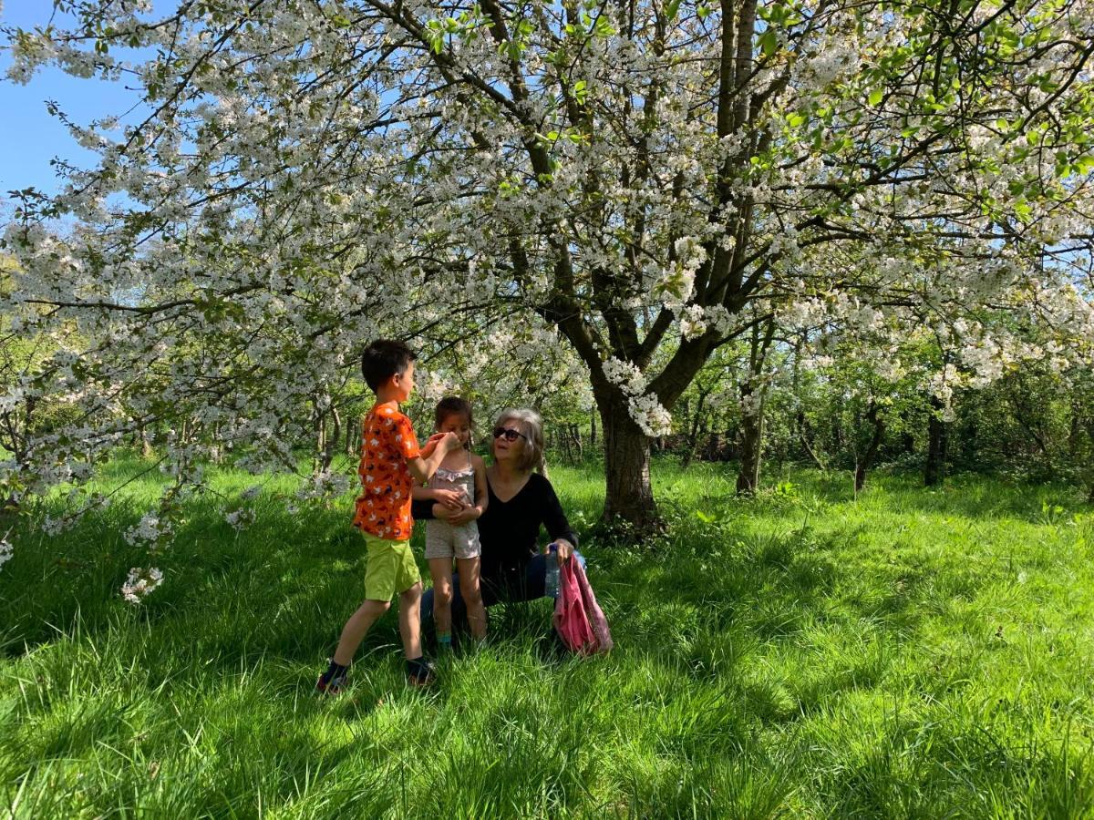 Oostvoornsch Gastenverblijf Oostvoorne Esterno foto