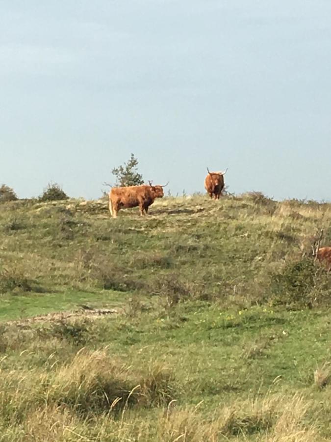 Oostvoornsch Gastenverblijf Oostvoorne Esterno foto