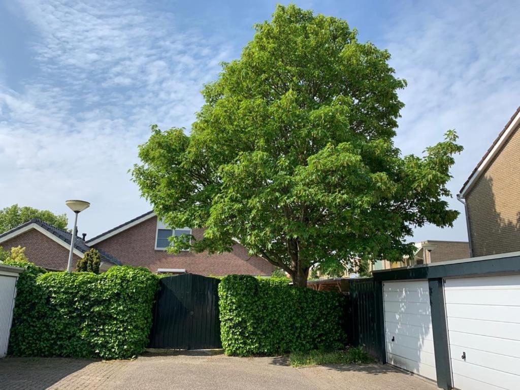 Oostvoornsch Gastenverblijf Oostvoorne Esterno foto