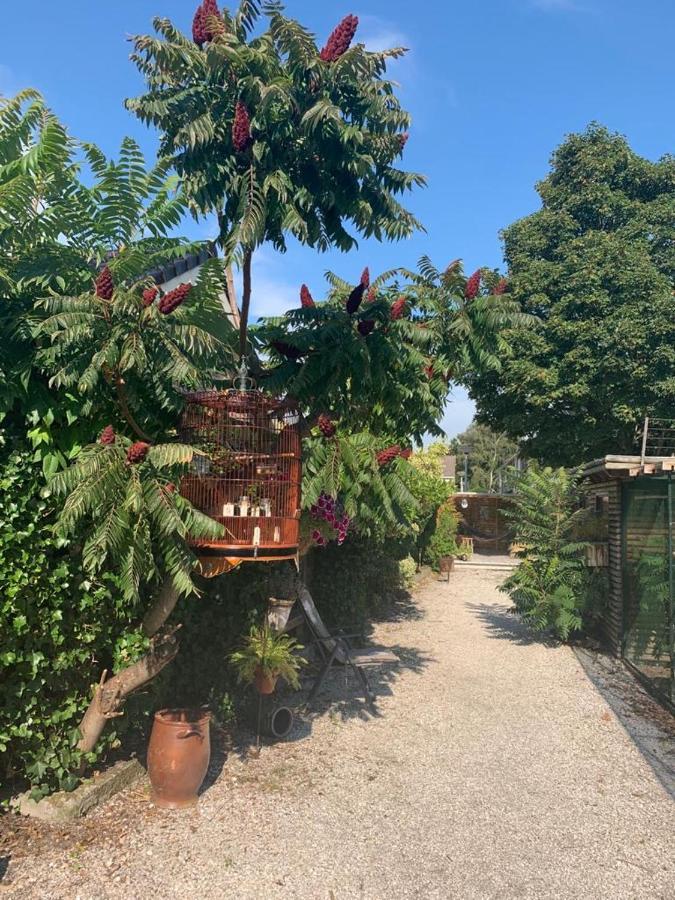 Oostvoornsch Gastenverblijf Oostvoorne Esterno foto