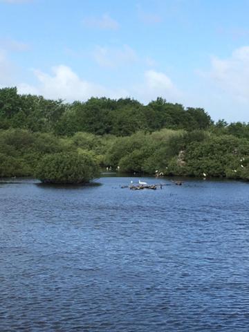 Oostvoornsch Gastenverblijf Oostvoorne Esterno foto